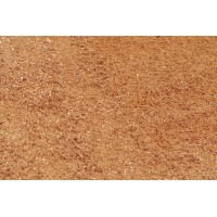 sawdust_764847031